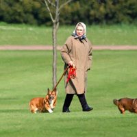 Harán una muestra fotográfica de la Reina Isabel II con sus corgis