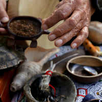 Rituales de abundancia: las hierbas que tenés que sahumar en casa para atraer abundancia y fortuna