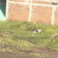 Hallan dos cuerpos en predio de Zamora, Michoacán
