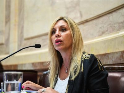 La senadora María de los Ángeles Sacnun pidió impulsar el desarrollo de los biocombustibles