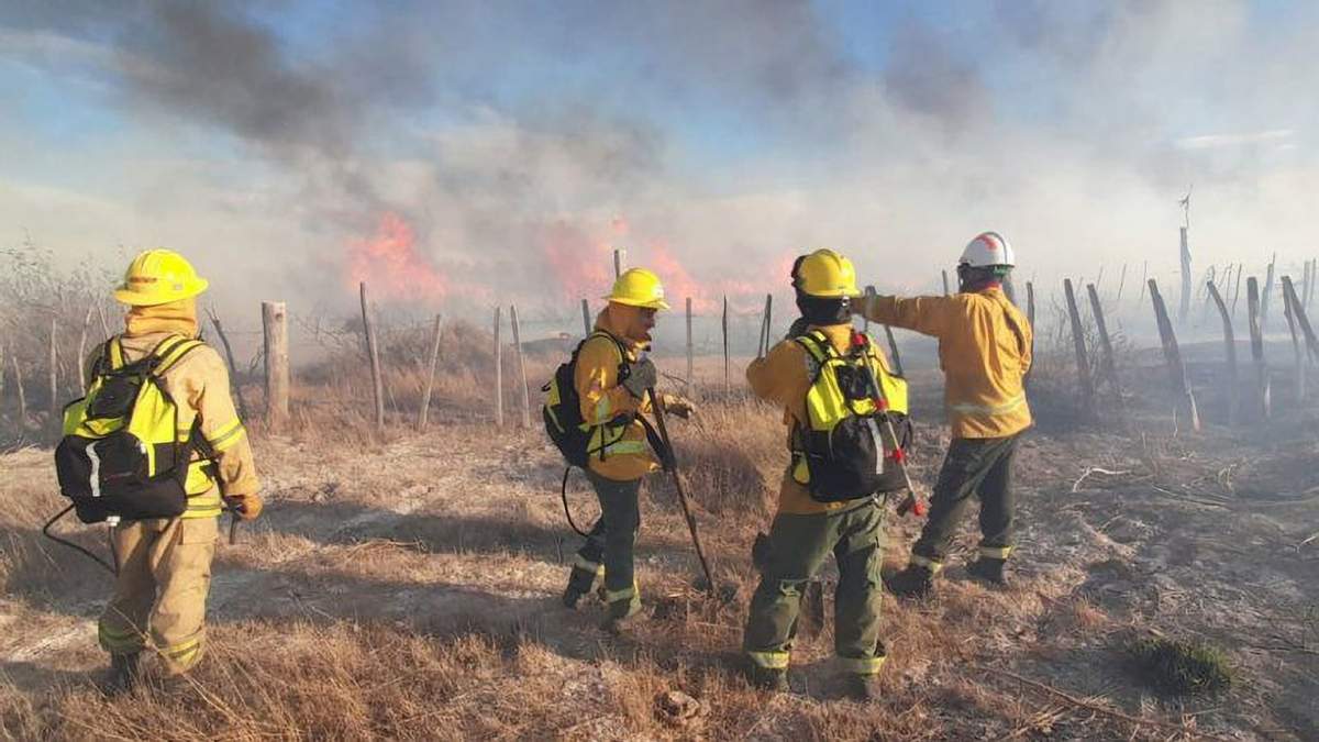 Bomberos en el incendio en Picún Leufú. Fuente: (Twitter)