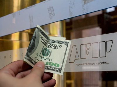 AFIP: esto tenés que hacer para que te devuelvan el 35% por la compra del dólar ahorro