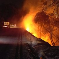 Un incendio en Morelos se extiendió a varios municipios y destruyó huertas de aguacate (Videos)