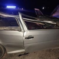 Un caballo suelto en la ruta 7 provocó un accidente y dos jóvenes de Añelo resultaron heridos