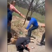 #LadyAzadón manda al hospital a un perro y a un hombre que lo defendía de los golpes