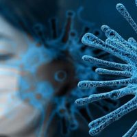 Mapa del coronavirus en la Argentina: cuáles son los últimos datos