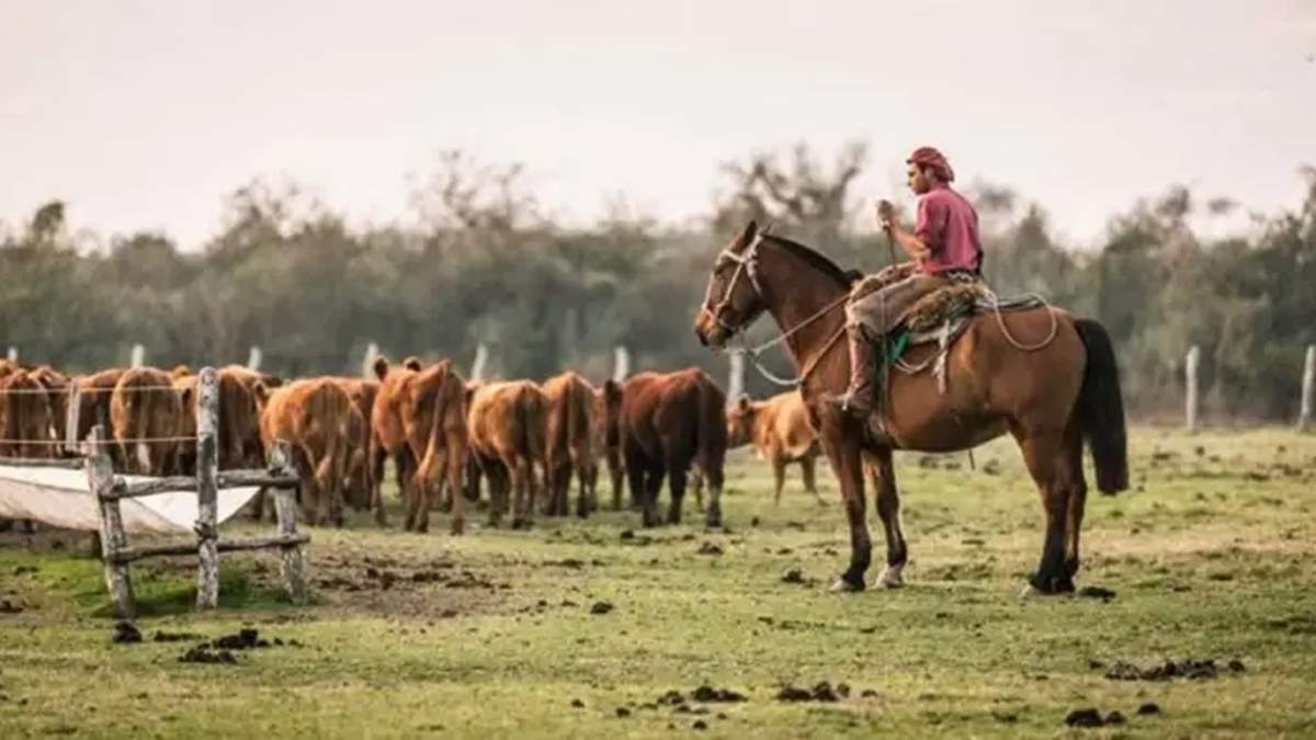 El Ministerio de Capital Humano destacó este miércoles que homologó la primera paritaria del peón rural