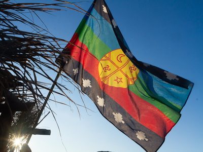 Mapuches denunciaron al presidente de la INAI por sus dichos sobre la wenufoye en las escuelas