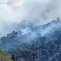 Todavía no se ha podido evaluar la dimensión del incendio en Valle Magdalena