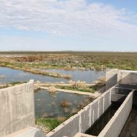 Denuncian contaminación de la meseta por una obra de la Municipalidad