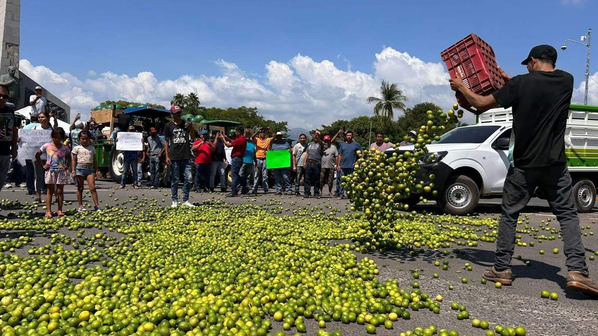 Michoacan. Limoneros, sector exprimido por el narco