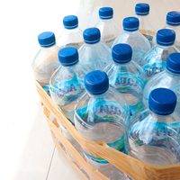 No tires las botellas de gaseosa vacías: creá estas flores re delicadas, fáciles de hacer y perfectas para decorar