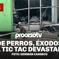 Proceso TV - Día 3: De perros, éxodos y el tic tac devastador