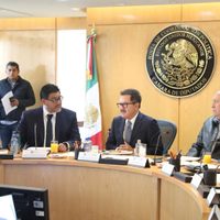 Diputados aceptan que una mujer presida el INE