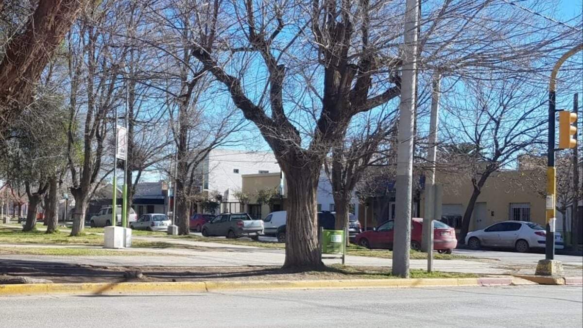 Calle Primeros Pobladores de la Plaza San Martín de Centenario. Fuente: (Facebook)