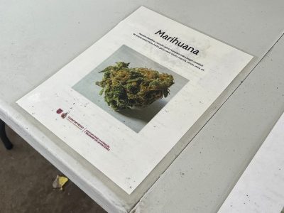 Gobierno de la CDMX habilitó espacios de tolerancia para uso lúdico de marihuana