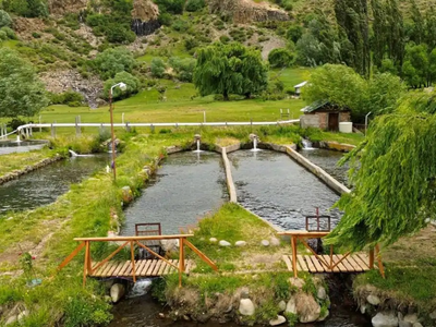 Un rincón secreto del norte neuquino: por qué Bella Vista enamora con su naturaleza y sabores