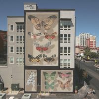 Un artista urbano crea mariposas en las paredes de edificios