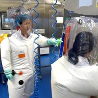 El Instituto de Virología de Wuhan reconoció que investigaba cepas del coronavirus en murciélagos