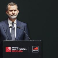 Dios mío: la mujer que incomoda a Zarzuela con una foto del Rey Felipe