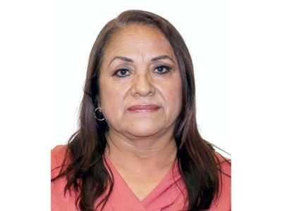 Carmen Medel, la diputada de Morena con triple aspiración electoral
