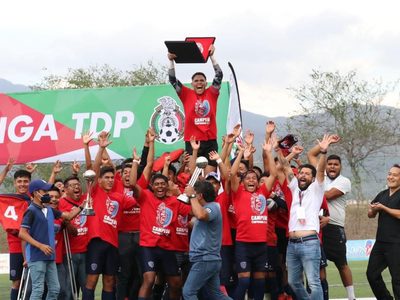Avispones de Chilpancingo asciende a Segunda División