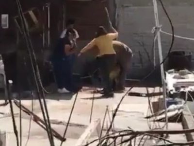 Convocan a marcha en Edomex por el caso del perro "Silver", asesinado a golpes