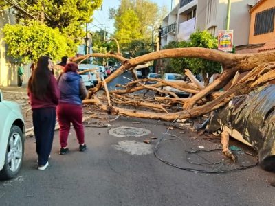 Reportan incendio, caída de árbol sobre un auto y fuga de gas tras sismo de 6.5 en CDMX (Video)