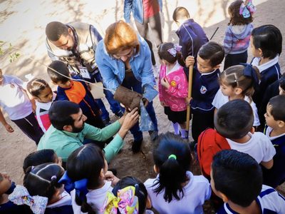 Violencia en Sinaloa deja importante afectación a niños y a su educación: Mexicanos Primero