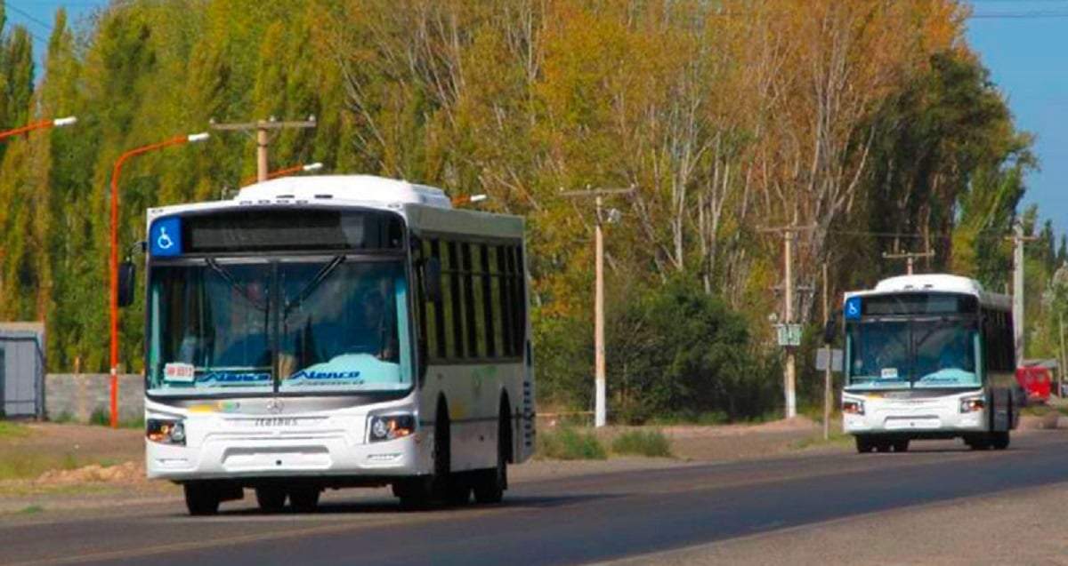 Transporte público de Centenario. Fuente: (Facebook)