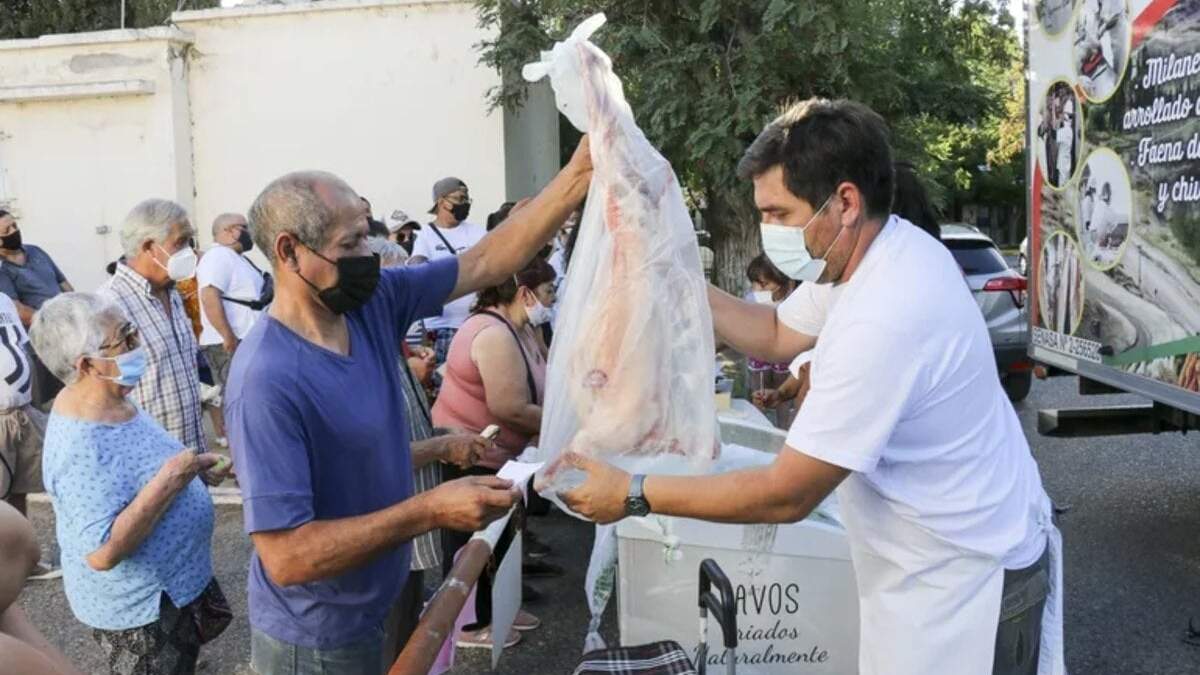 Chivito criollo. Fuente (Agustin Martinez).