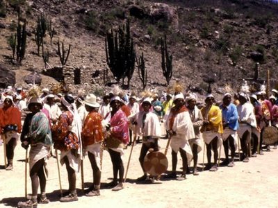 En la Tarahumara, narcoimposiciones