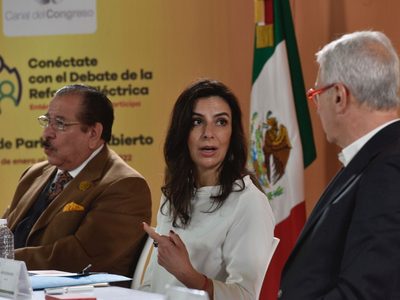 Reforma eléctrica representa una expropiación indirecta: AmCham