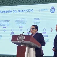 Un promedio de 850 mujeres son asesinadas al año: feminicidio aumentó 7.1% este año: SSPC