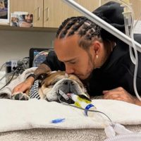 Lewis Hamilton dice que la muerte de su perro Roscoe es "una de las experiencias más dolorosas"