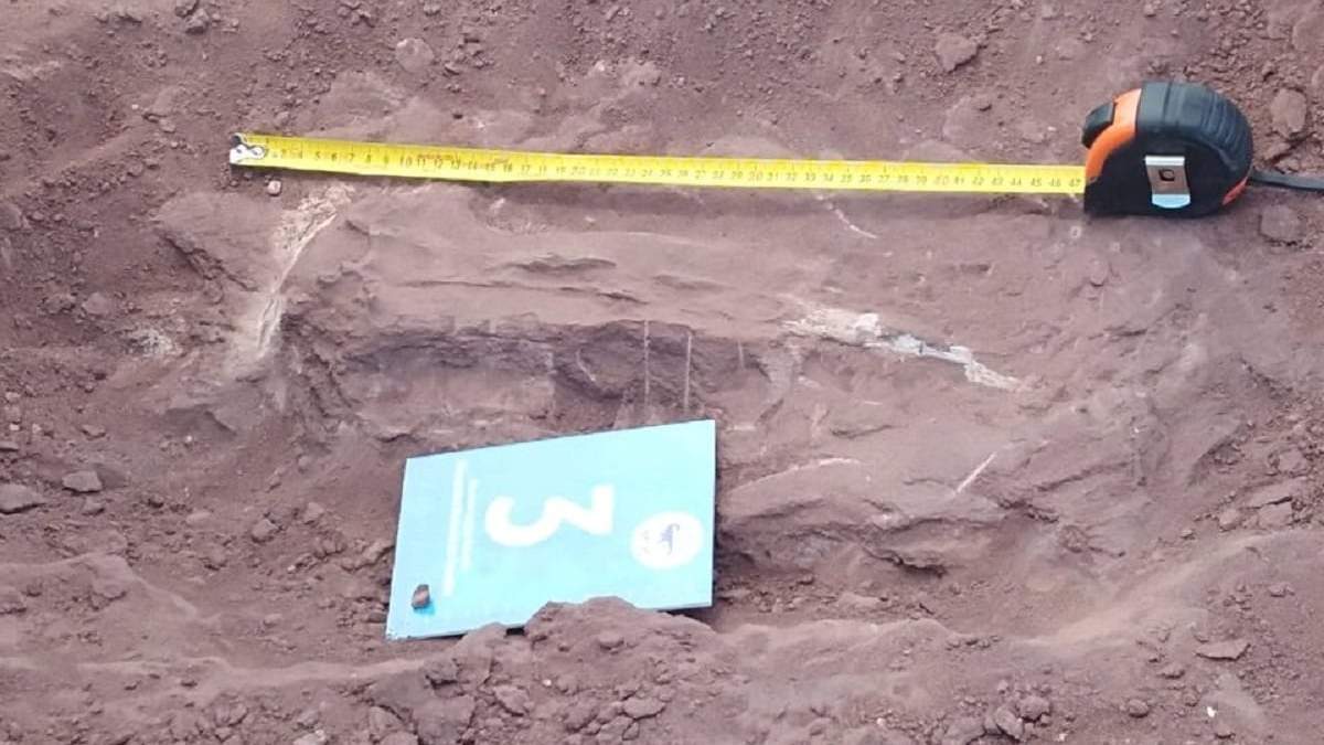 El hallazgo de los restos de un dinosaurio en Vaca Muerta. Fuente: (Twitter)