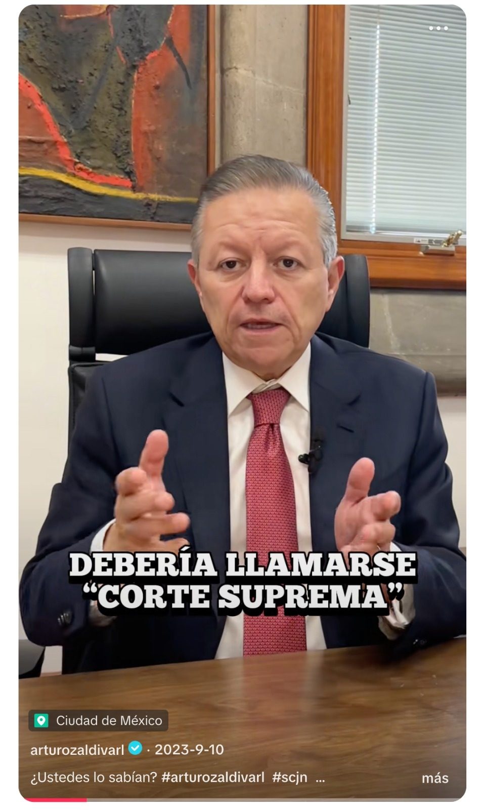 TikTok Saldívar Foto Captura de Pantalla