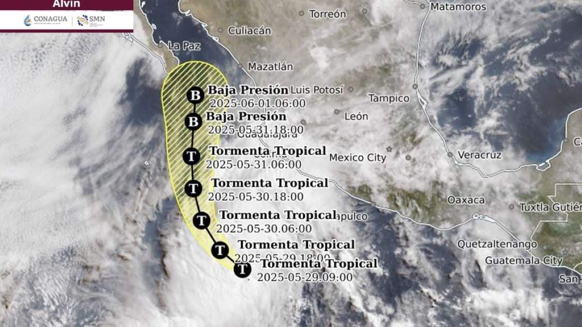 La ruta de Alvin