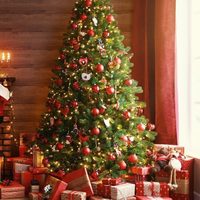 El truco infalible para limpiar tu árbol de Navidad sin dañarlo antes de armarlo en casa