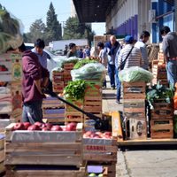Si conseguís cajones de verdulería, guardalos: armá estas prácticas y enormes macetas para tus plantas