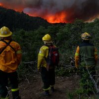 Incendio en Aluminé: la guardia de cenizas duraría por lo menos 15 días