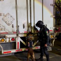 Mariguana valuada en 15 millones de pesos fue detectada en un tractocamión que circulaba en la CDMX