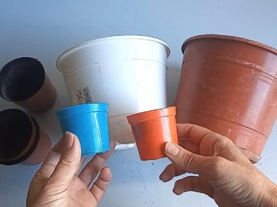 Descubrí cómo convertir una maceta de plástico en un tesoro decorativo y funcional para llevar a la mesa de la cocina