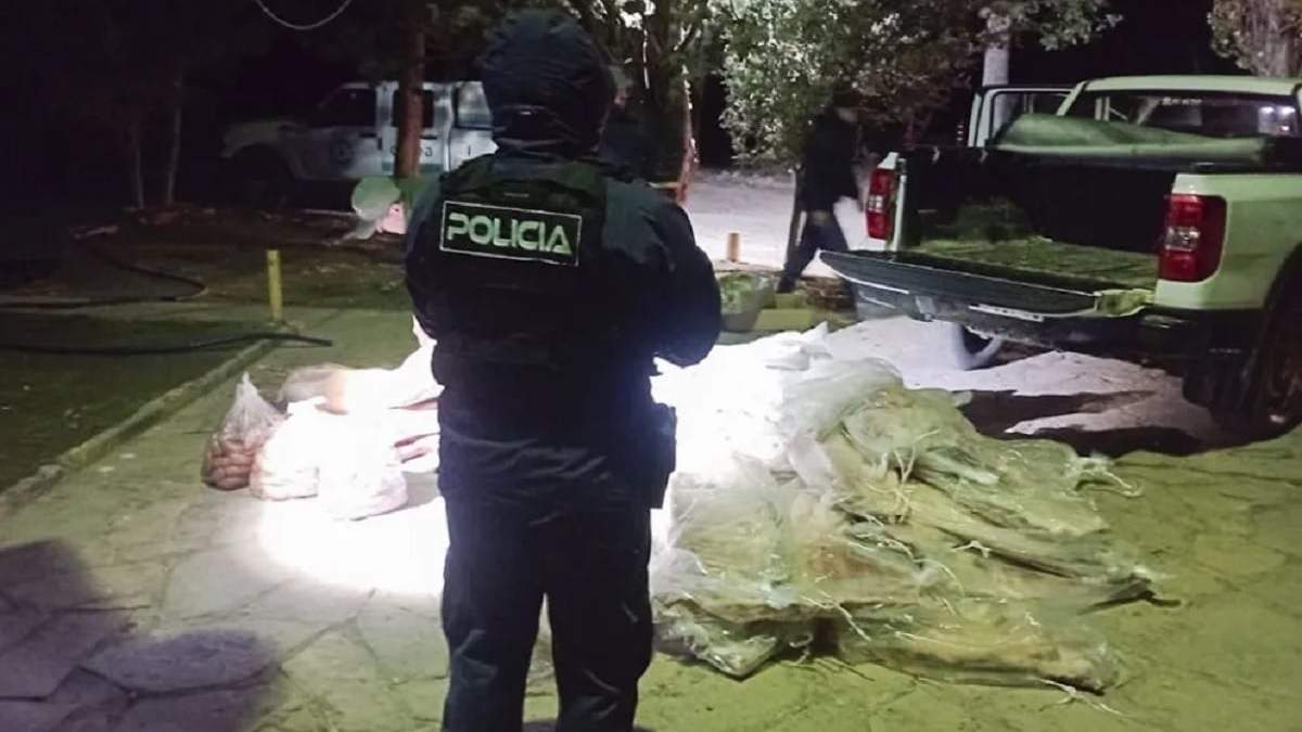 El cargamento secuestrado fue valuado en 13 millones de pesos. Fuente: (Neuquén Informa)