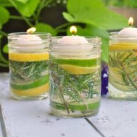 No se consigue repelente: prepará esta fórmula casera y alejá a los mosquitos de forma natural