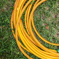 No tires la manguera rota o pinchada que tenés en casa: mirá esta hermosa creación que te sorprenderá