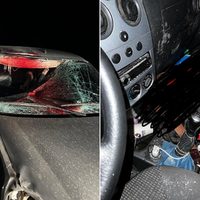 Un brutal choque contra un caballo dejó dos personas heridas en la ruta 17