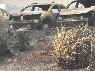 Incendios en Córdoba: se estiman que hay más de 800 hectáreas arrasadas en el Parque Nacional Quebrada del Condorito