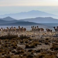 Así va a estar el tiempo en el fin de semana en Mendoza