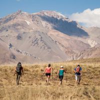 Domuyo: tecnología al servicio del ambiente